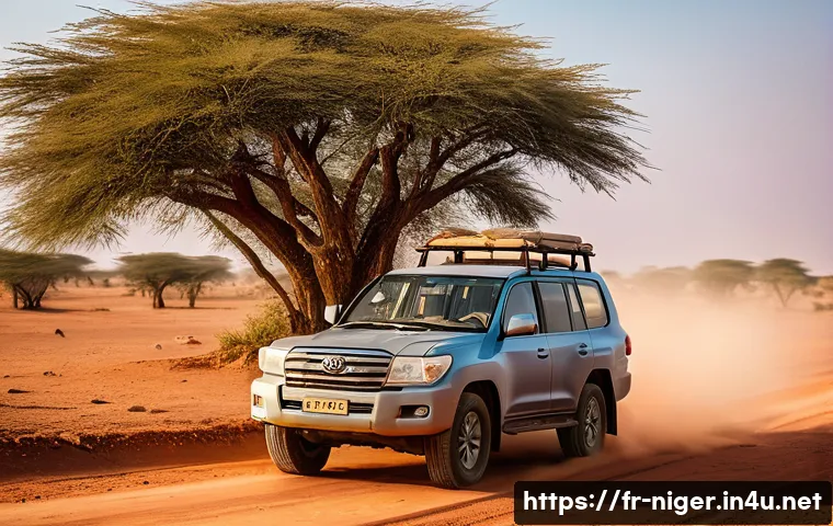 니제르에서 자동차 운전 시 유의점 - **A sturdy 4x4 on a Nigerien desert road at sunrise.**
    A robust Toyota Land Cruiser 4x4, well-ma...