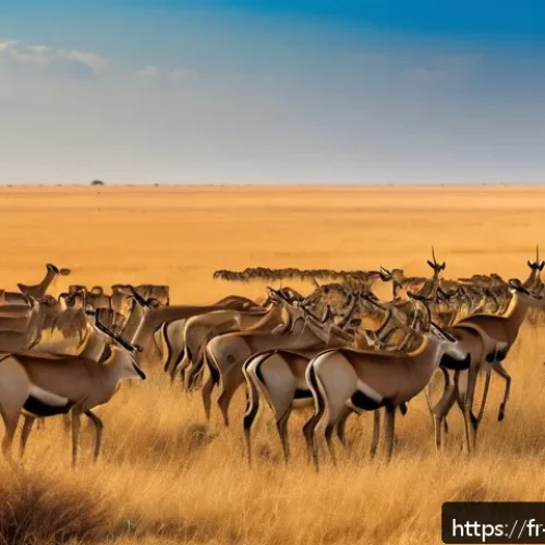 Home 30 니제르 야생동물 관찰 - A vast Niger savanna landscape under a bright blue sky, featuring a herd of graceful gazelles and an...